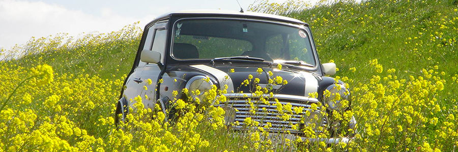 ���[�o�[�~�j